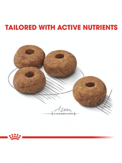 CCN MEDIUM STERILISED AD 3KG_web43